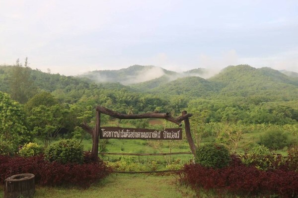 โครงการฟาร์มตัวอย่าง บ้านบ่อหวี ตำบลตะนาวศรี อำเภอสวนผึ้ง จังหวัด ราชบุรี ช่วยราษฎรที่ได้รับผลกระทบจากโควิด-19