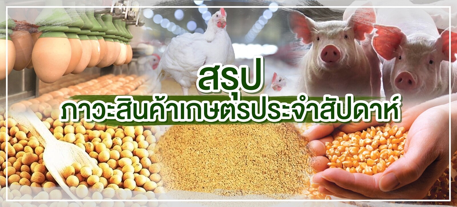 สรุปภาวะสินค้าเกษตรประจำสัปดาห์ วันที่ 14-18 กันยาน 2563