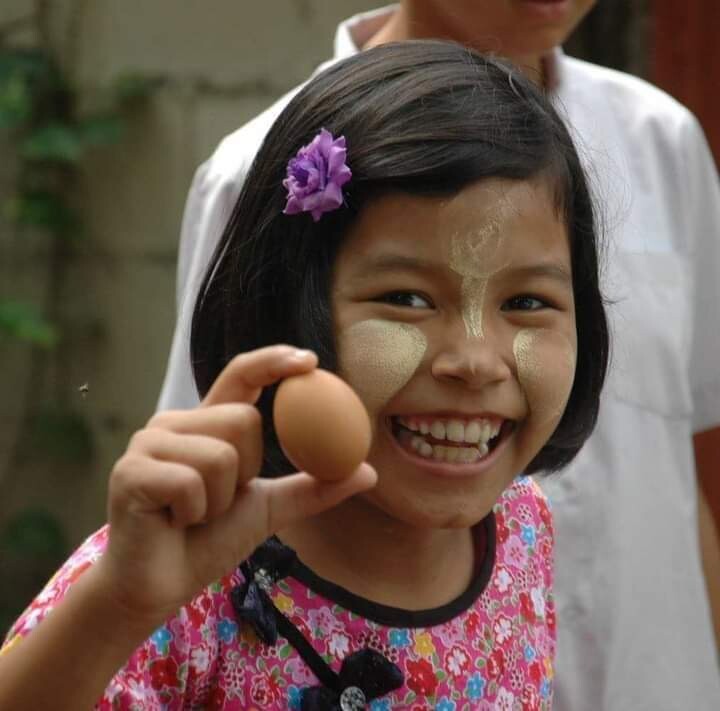 ตามดู "โครงการเลี้ยงไก่ไข่เพื่ออาหารกลางวันนักเรียน" ในศูนย์การเรียนรู้ อา โยน อู  อ.แม่สอด จ.ตาก