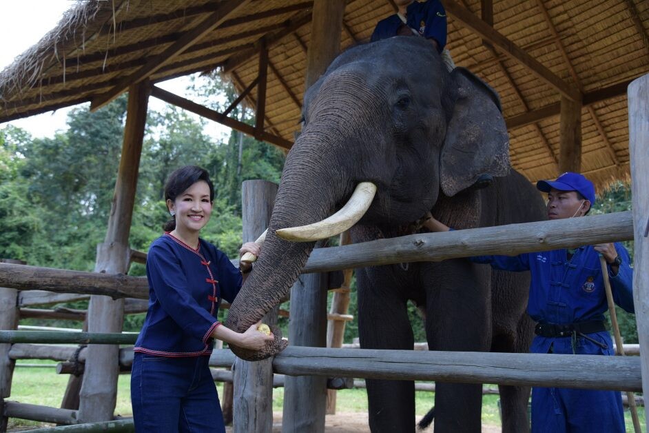 "กิฟฟารีน" ตอบแทนคุณแผ่นดิน สร้างองค์กรต้นแบบ ชวนคนไทยร่วมอนุรักษ์ช้างไทย