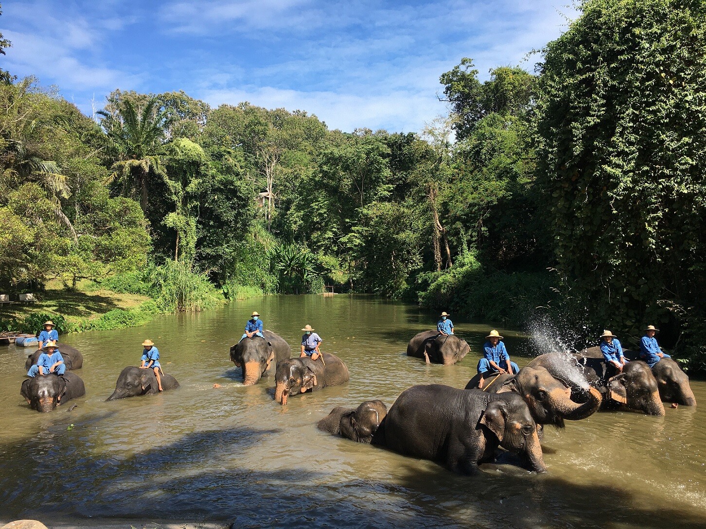 "กิฟฟารีน" ตอบแทนคุณแผ่นดิน สร้างองค์กรต้นแบบ ชวนคนไทยร่วมอนุรักษ์ช้างไทย