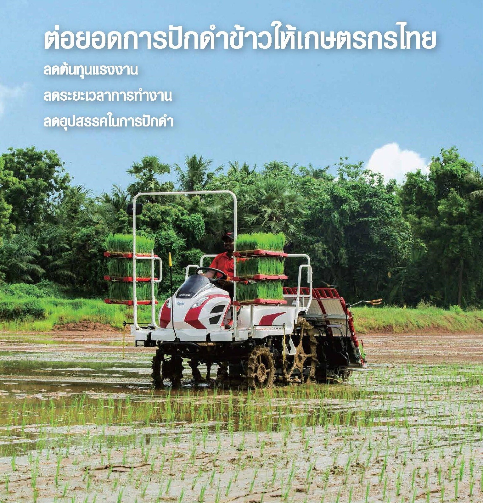 Yanmar and Kla-Krang Company join forces to conduct field demonstration using Yanmar rice transplanters to build a learning center for Nakhon Sawan farmers