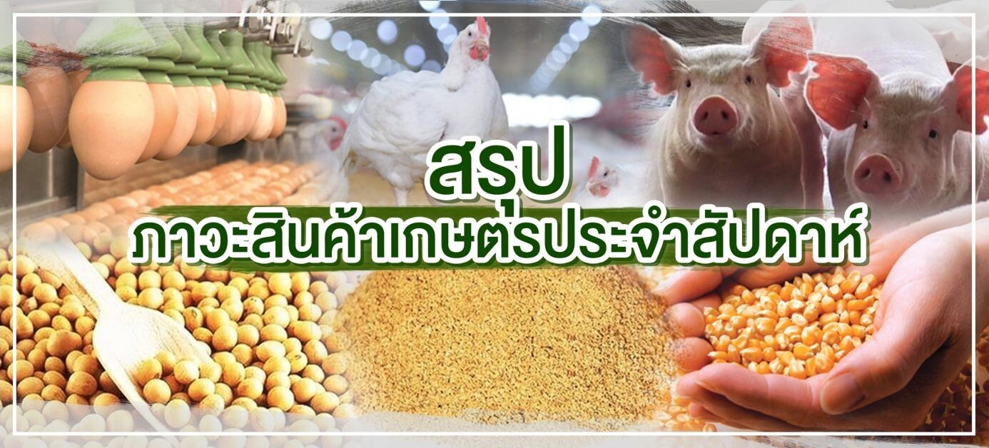 สรุปภาวะสินค้าเกษตรประจำสัปดาห์ วันที่ 16-20 สิงหาคม 2564