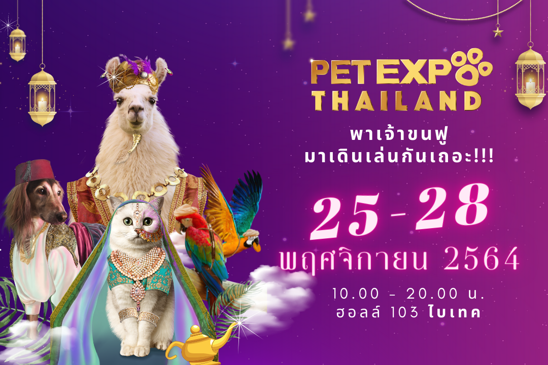 เตรียมพบกับงาน Pet Expo Thailand 2021 งานของคนรักสัตว์เลี้ยง ช้อปจุใจ กับโปรโมชั่นเด็ดจัดเต็มทั้งงาน