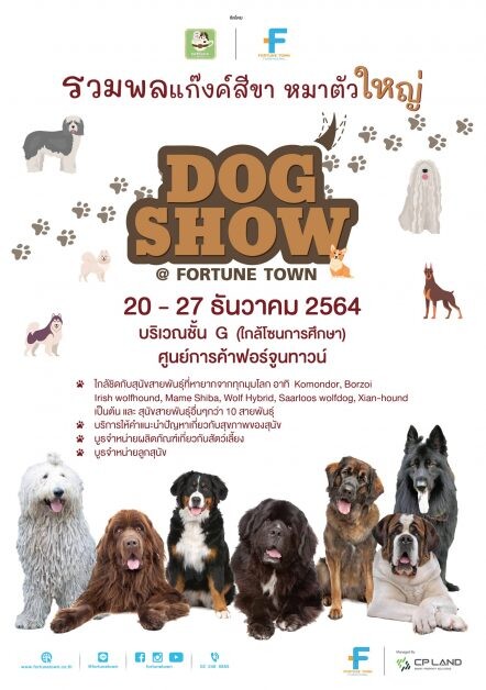 ฟอร์จูนทาวน์ รวมพล แก๊งค์สี่ขา  หมาตัวใหญ่   Dog Show @ Fortune Town