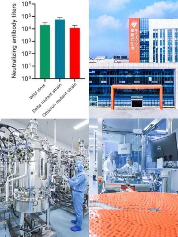 WestVac BioPharma เผยผลวิจัยวัคซีนโควิด-19 พบค่าไตเตอร์ของแอนติบอดีลบล้างสายพันธุ์โอมิครอนในระดับสูง