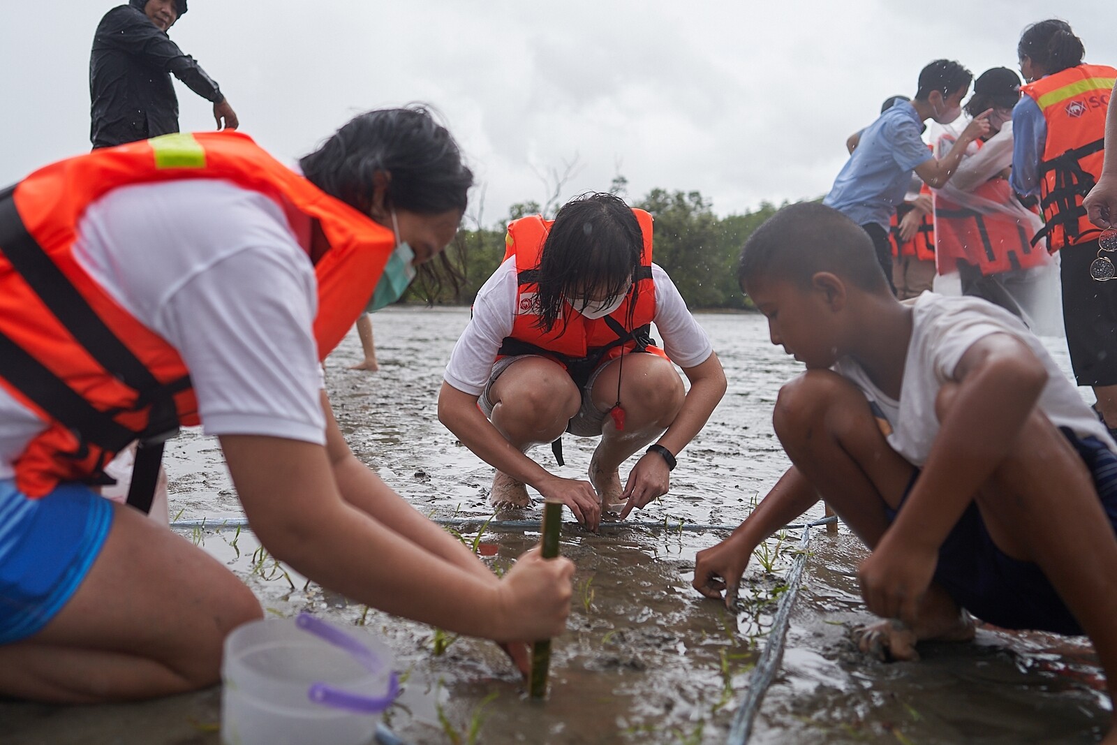 เอสซีจี แทคทีมเจนวายสายกรีน กู้วิกฤต 'Climate Change'  จัดทริป 'ใคร Make Change - ปลูกหญ้าทะเล @ ตรัง'  ลงพื้นที่ปลูก "หญ้าทะเล" ฮีโร่ลดโลกร้อน