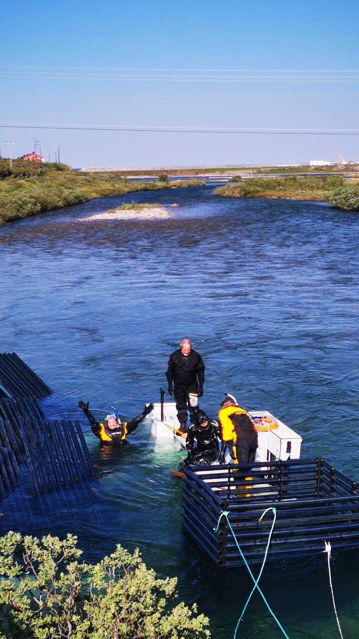 Huawei and Partners Install World's First AI Filtering System for Salmon in a Natural River in Norway