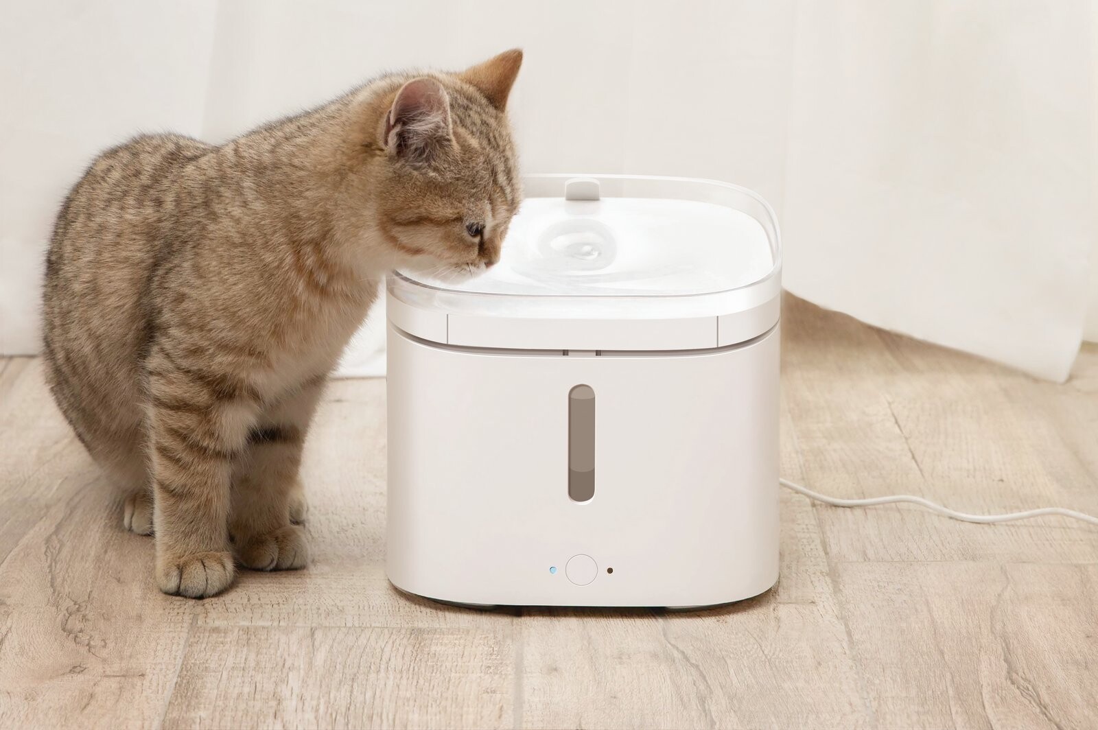 เสียวหมี่เอาใจคนรักสัตว์เลี้ยง วางจำหน่ายผลิตภัณฑ์ AIoT รุ่นใหม่ Xiaomi Smart Pet Fountain และ Xiaomi Smart Pet Food