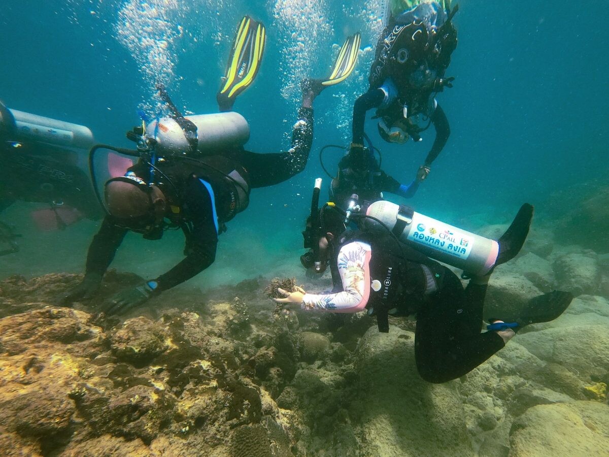 ซีพี ออลล์ ร่วมกับชมรมดำน้ำเพื่อการอนุรักษ์ ( PhaNgan Sea Guardian ) และ Kong Gang Diving สร้างนักดำน้ำหัวใจอนุรักษ์ท้องทะเลไทย