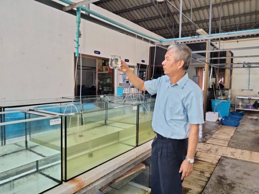 กรมประมงเปิดตัว "ปลาการ์ตูนโกลด์ครอสทันเดอร์" หลังซุ่มเพาะสายพันธุ์ใหม่สำเร็จ…เตรียมส่งกระตุ้นวงการปลาทะเลสวยงามไทย
