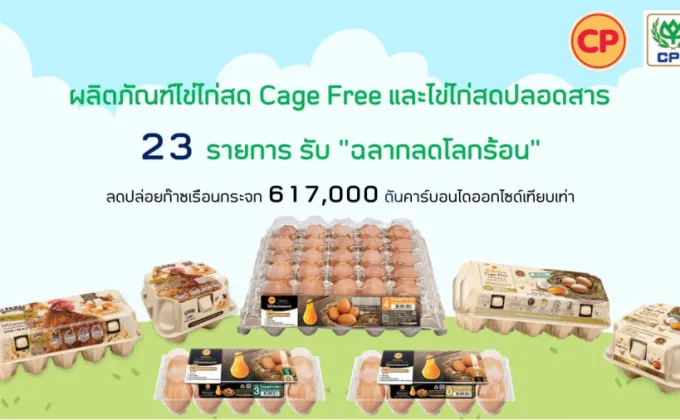 ซีพีเอฟ นำ ไข่ไก่ Cage Free และไข่ไก่ปลอดสาร