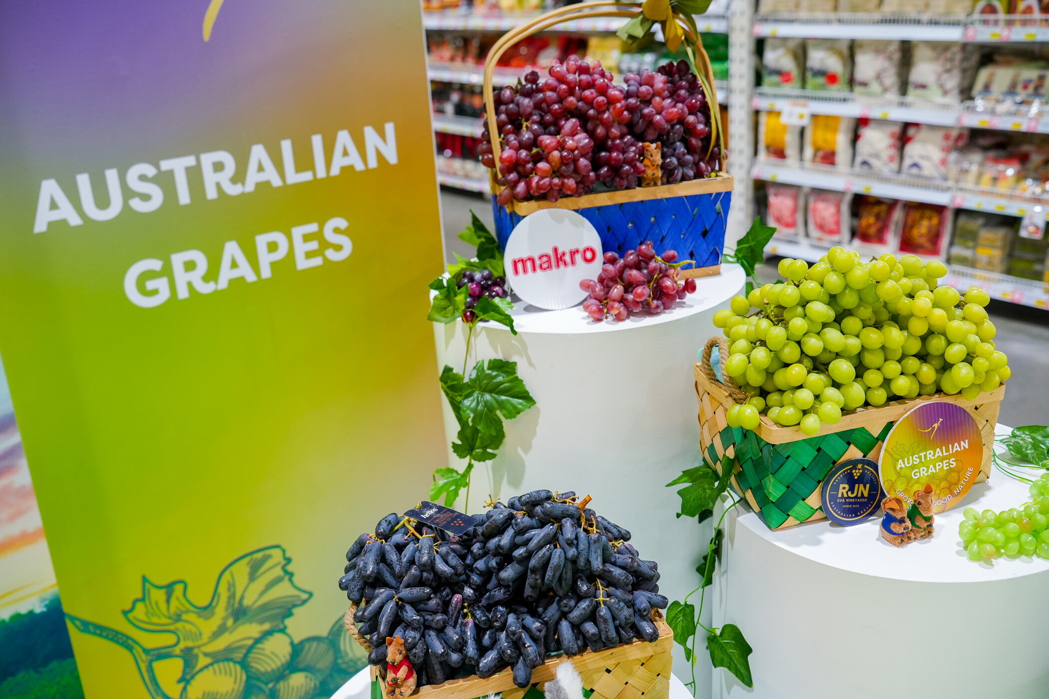 แม็คโคร เปิดฤดูกาลองุ่นออสเตรเลีย The Launch of Australian Table Grape Season นำผลผลิตคุณภาพดี ส่งตรงถึงไทย รับธุรกิจ โรงแรม ร้านอาหาร ฟื้นตัว