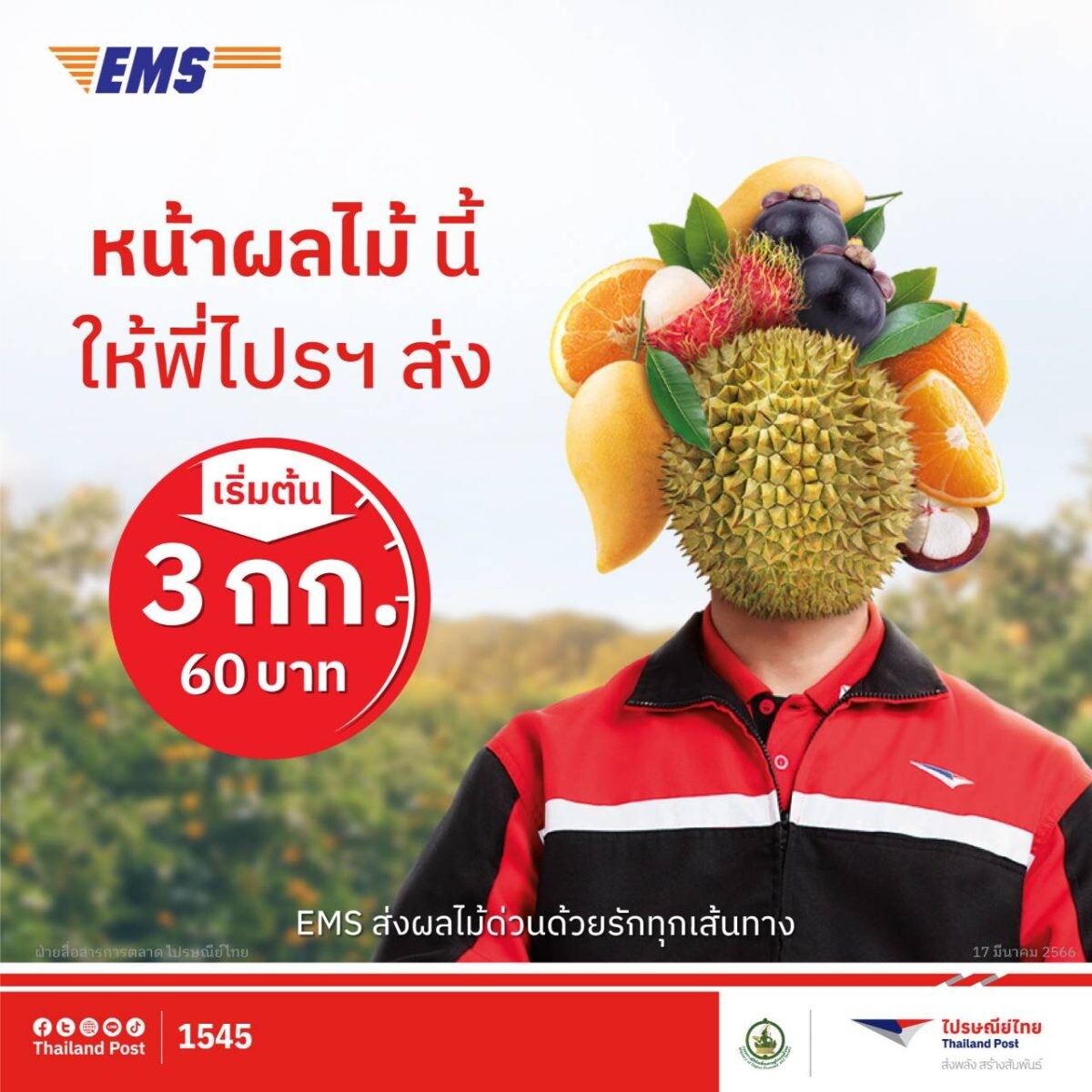 ไปรษณีย์ไทยร่วมออกมาตรการลดต้นทุนค่าขนส่งให้ชาวสวน ส่งผลไม้ด่วนด้วยบริการ EMS เหมาเริ่มต้นเพียง 3 กิโลกรัม 60 บาท พิเศษ! แพ็กเกจจิ้งรักษาความสดผลไม้ราคาประหยัด