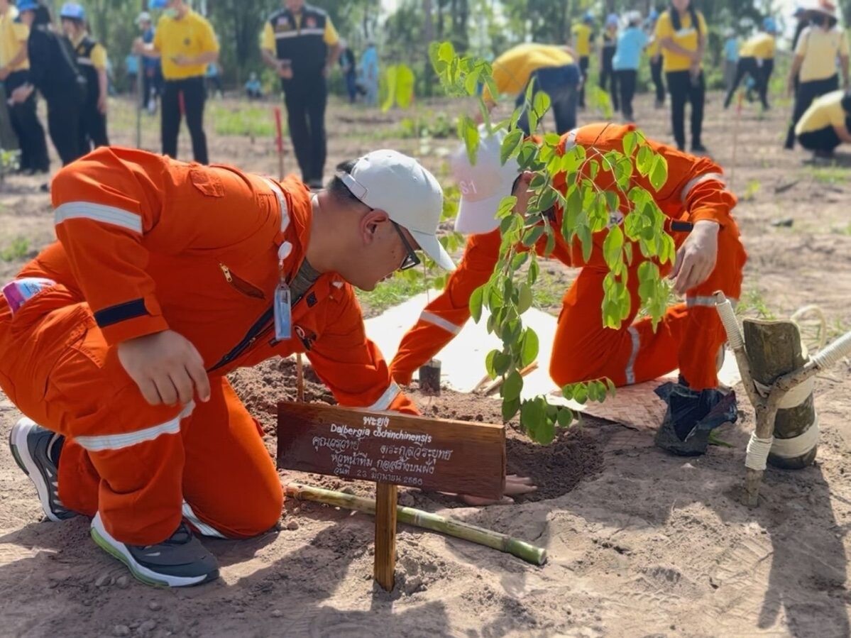 PTTEP plants over 7,600 trees in "From We to World Planting Day 2023" activity, marking the 38th anniversary