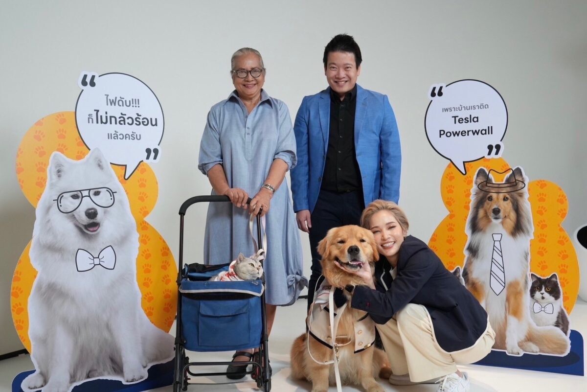 Solar D จัดงาน Pet Safe เว่อร์! ไฟไม่ดับสัตว์เลี้ยงปลอดภัย ร่วมแชร์ประสบการณ์และเปิดมุมมองความสำคัญของไฟฟ้า ผ่านเจ้าของ 2 เพจชื่อดัง