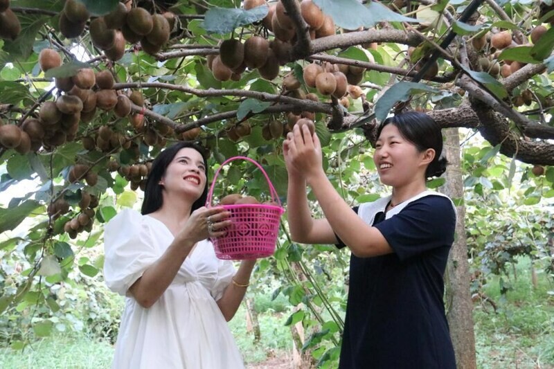 Xinhua Silk Road: Fengxin County in E. China's Jiangxi celebrates ...