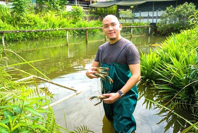 กุ้งเครย์ฟิช: โซลูชันใหม่เพื่อเอาชนะความไม่มั่นคงทางอาหารจากสิงคโปร์