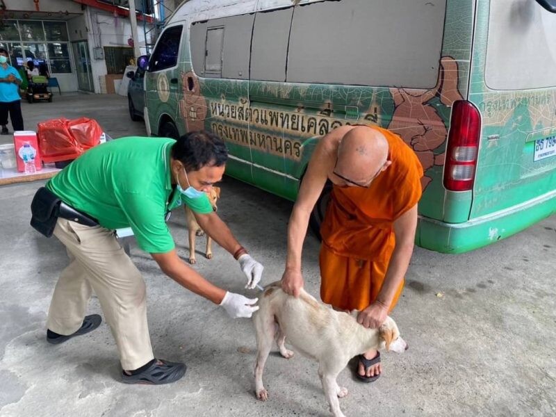 กทม.บูรณาการความร่วมมือแก้ปัญหาสุนัขจรจัด-ออกหน่วยสัตวแพทย์เคลื่อนที่เชิงรุกครอบคลุม 50 เขต