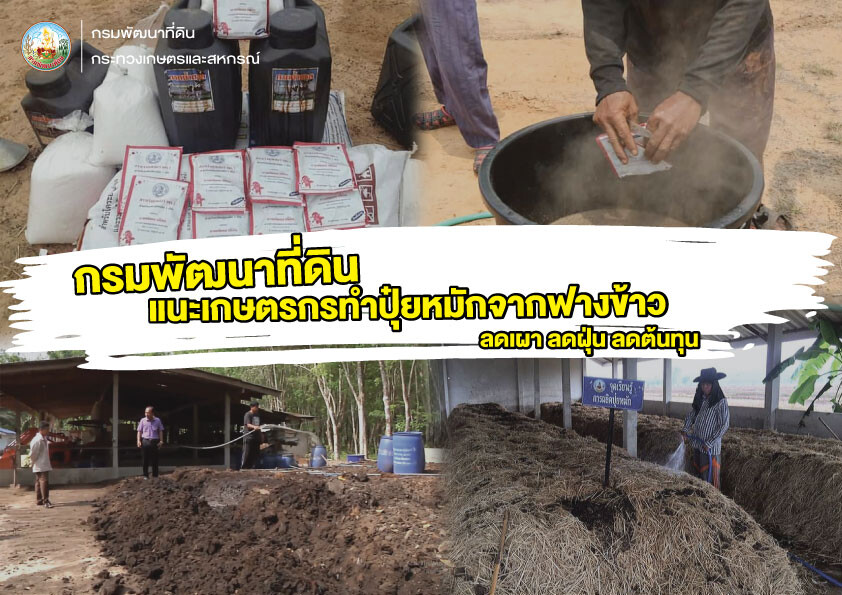 พด. แนะเกษตรกรทำปุ๋ยหมักจากฟางข้าว ลดเผา ลดฝุ่น PM 2.5 รักษาสิ่งแวดล้อม