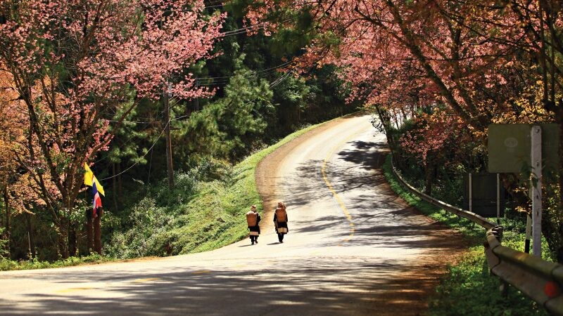 FOUR SEASONS RESORT CHIANG MAI AND FOUR SEASONS TENTED CAMP GOLDEN TRIANGLE INTRODUCE "TRAILS OF THE NORTH"