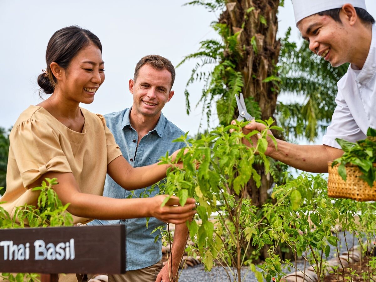 JW MARRIOTT KHAO LAK UNVEILS THE JW GARDEN FULL FARM MODEL AND WILDERNESS PARK: A SANCTUARY OF SUSTAINABILITY AND WELLBEING