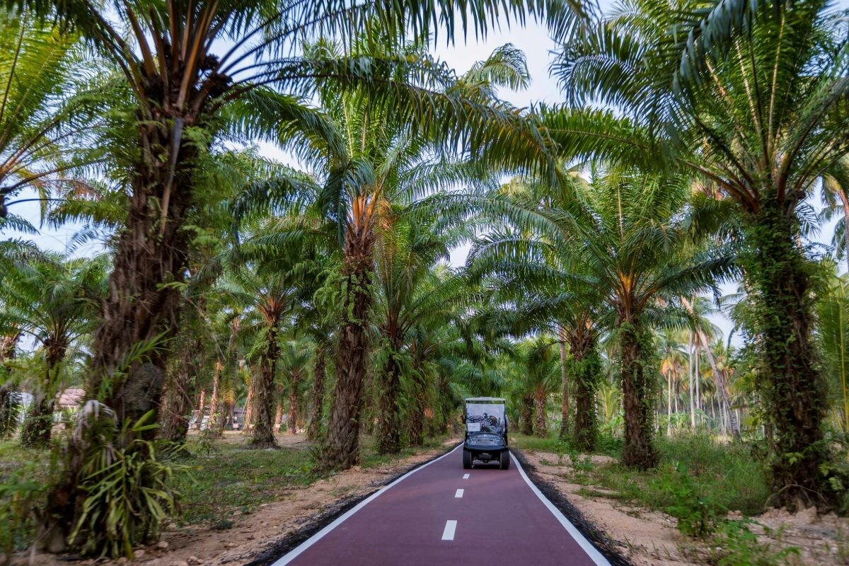 JW MARRIOTT KHAO LAK UNVEILS THE JW GARDEN FULL FARM MODEL AND WILDERNESS PARK: A SANCTUARY OF SUSTAINABILITY AND WELLBEING