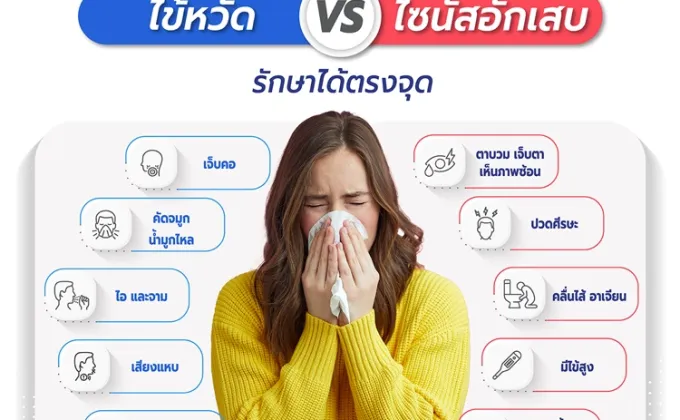 ไข้หวัด VS ไซนัสอักเสบ เข้าใจความแตกต่าง