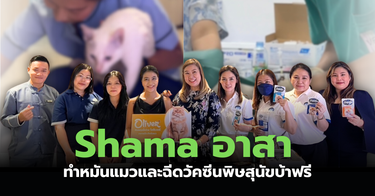 Shama อาสา ทำหมันแมวและฉีดวัคซีนพิษสุนัขบ้า