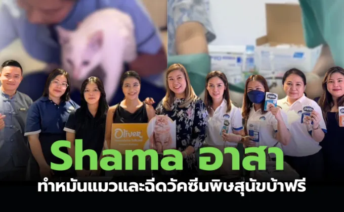 Shama อาสา ทำหมันแมวและฉีดวัคซีนพิษสุนัขบ้า