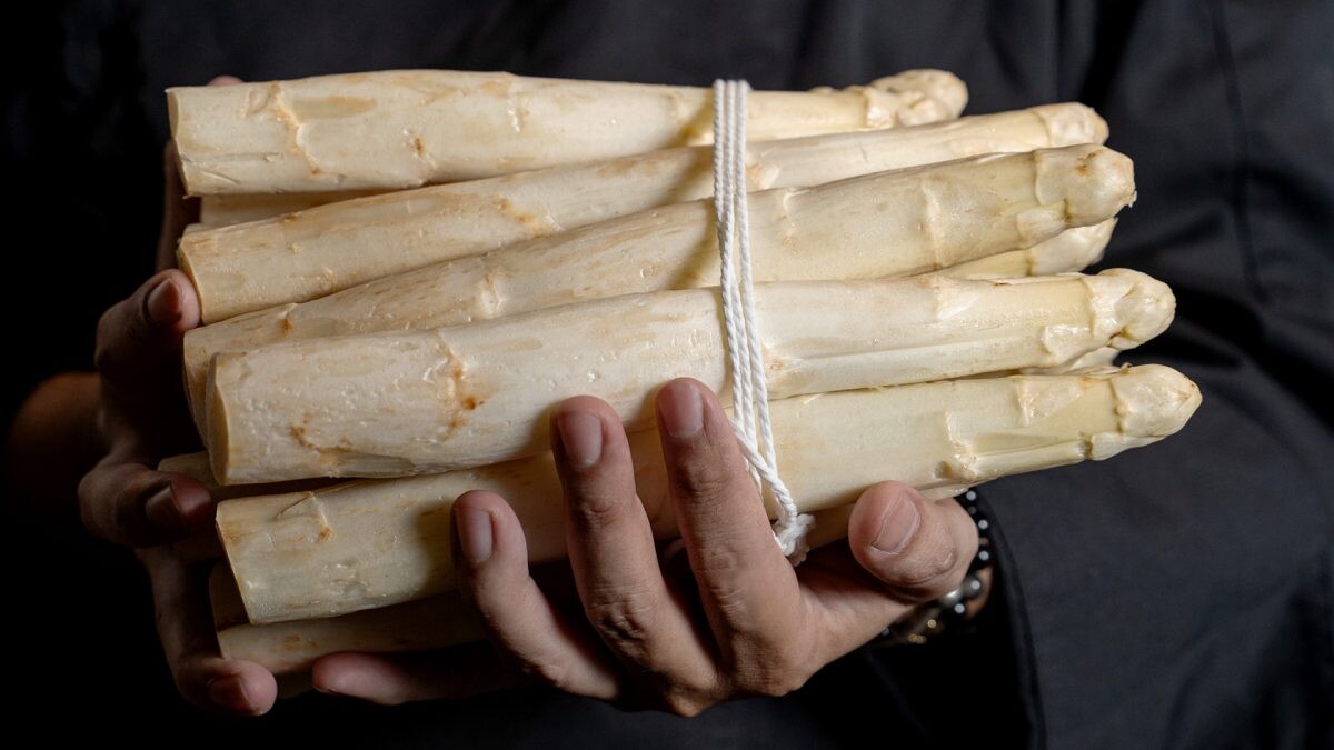 เพลินกับเมนูยอดนิยมจาก 'Jumbo White Asparagus' แห่งแดนยุโรป พร้อมเสน่ห์อาหารอิตาเลียนสไตล์เมดิเตอร์เรเนียนแท้ที่ Otto Italian Restaurant