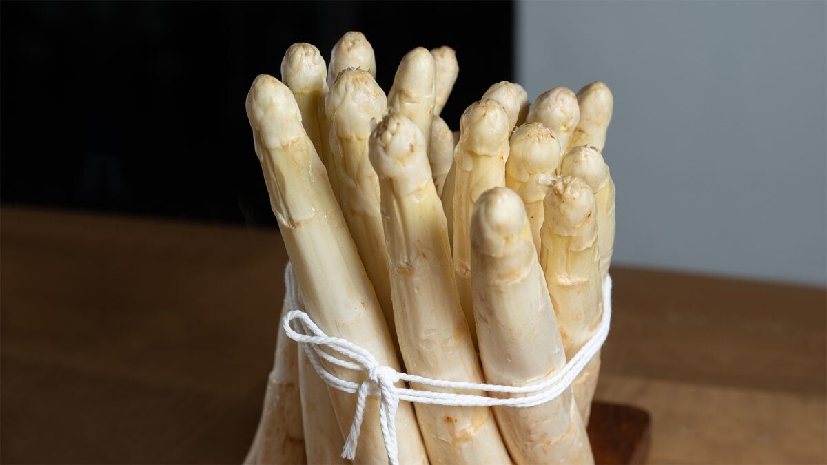 เพลินกับเมนูยอดนิยมจาก 'Jumbo White Asparagus' แห่งแดนยุโรป พร้อมเสน่ห์อาหารอิตาเลียนสไตล์เมดิเตอร์เรเนียนแท้ที่ Otto Italian Restaurant