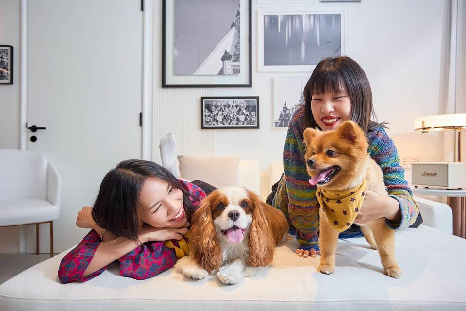 Meli? Hotels International welcomes furry family members with enhanced Pet Friendly program