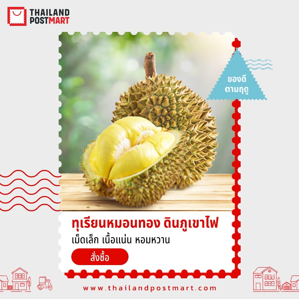 ต้องลอง!! ไปรษณีย์ไทย เปิดจำหน่าย "ทุเรียนหมอนทองดินภูเขาไฟศรีสะเกษ" ตัวท็อปและของดีประจำซีซั่น "ลูกใหญ่ เนื้อแน่น ส่งตรงจากสวน" จ.ศรีสะเกษ สั่งได้ที่ ThailandPostMart