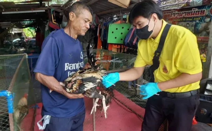 กทม. รุกเฝ้าระวังโรคไข้หวัดนก