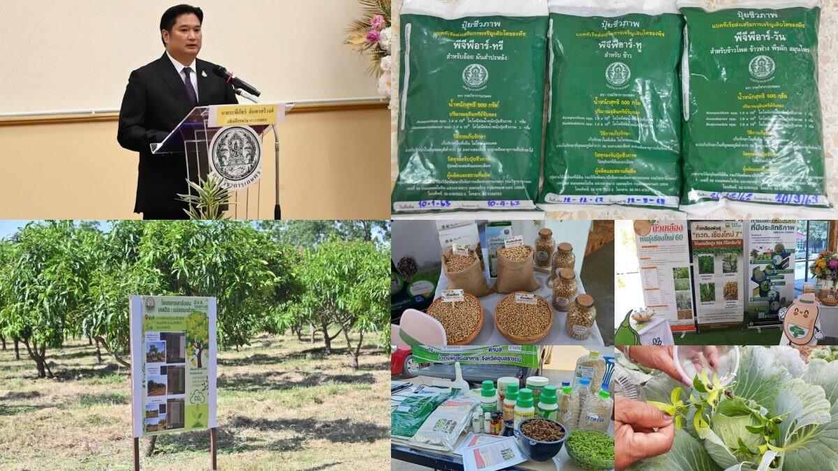 กรมวิชาการเกษตร เร่งขับเคลื่อน "IGNITE THAILAND ภาคการเกษตร" จัดใหญ่ขนงานวิจัย เทคโนโลยี และนวัตกรรมมาให้ชม 13 - 15 มิ.ย. นี้ ณ สวนเฉลิมพระเกียรติ 55 พรรษา