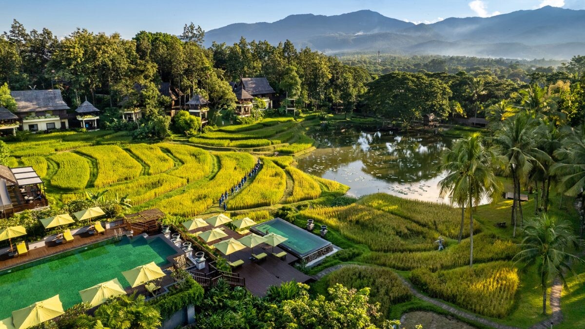 EXPERIENCE THE VIBRANT GREEN SEASON AT FOUR SEASONS RESORT CHIANG MAI