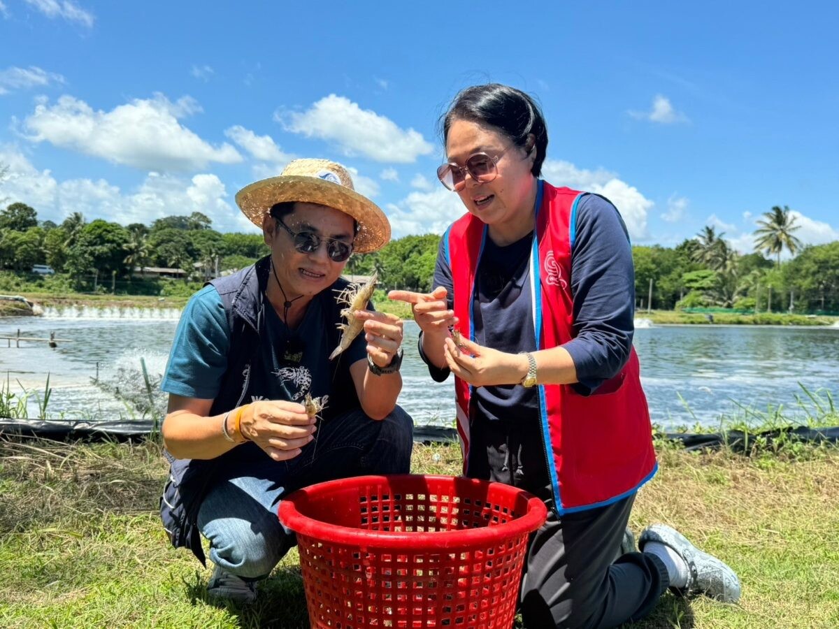 โก โฮลเซลล์ เดินหน้าลุย สนับสนุนเกษตรกรท้องถิ่นภาคใต้ บุกค้นหาวัตถุดิบคุณภาพถึงแหล่ง เพิ่มโอกาสสร้างรายได้ กระจายผลผลิตชุมชน