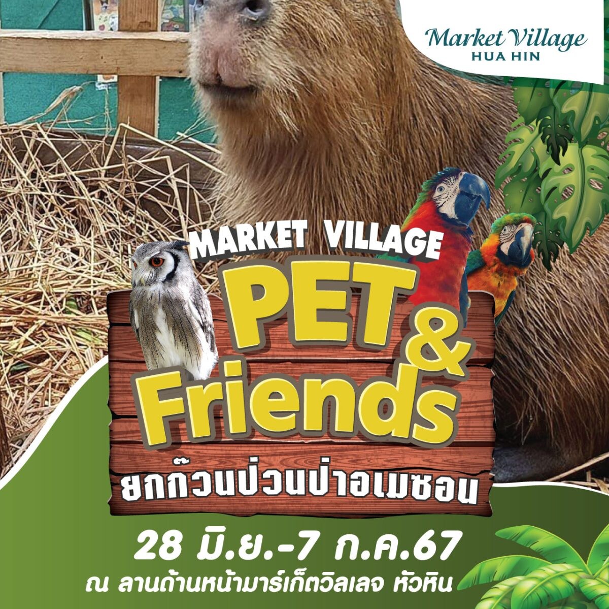 Market Village X Pet & Friends 2024