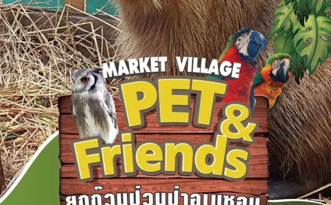 Market Village X Pet & Friends