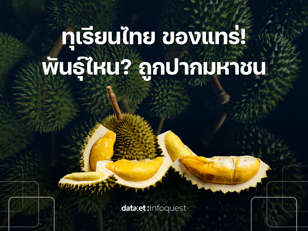 ทุเรียนไทย ของแทร่! พันธุ์ไหน? ถูกปากมหาชน