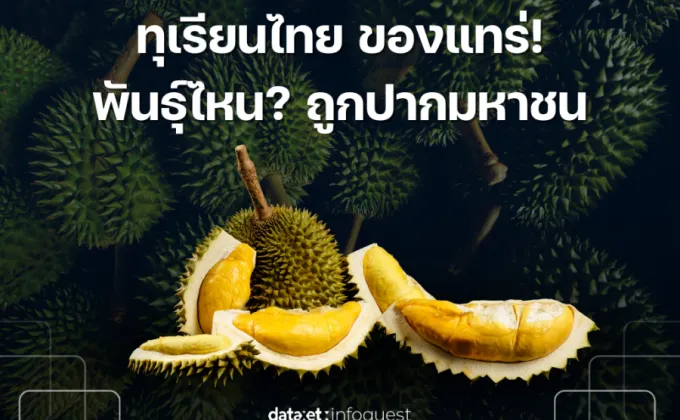 ทุเรียนไทย ของแทร่! พันธุ์ไหน?