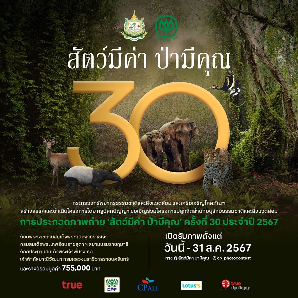 ก้าวสู่ปีที่ 30…การประกวดภาพถ่าย 'สัตว์มีค่า ป่ามีคุณ' ประจำปี 2567 ชวนคนไทยมองผ่านเลนส์สะท้อนคุณค่าความงดงามของธรรมชาติ