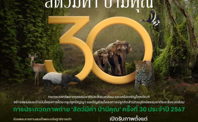 ก้าวสู่ปีที่ 30…การประกวดภาพถ่าย