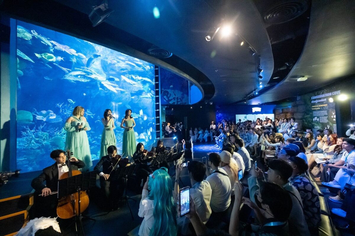 RoV จัดงาน DOLIA Night at the Aquarium เผยโฉม "Dolia" ฮีโร่เงือกสาว พร้อมอัปเดตแพตช์เกมล่าสุด