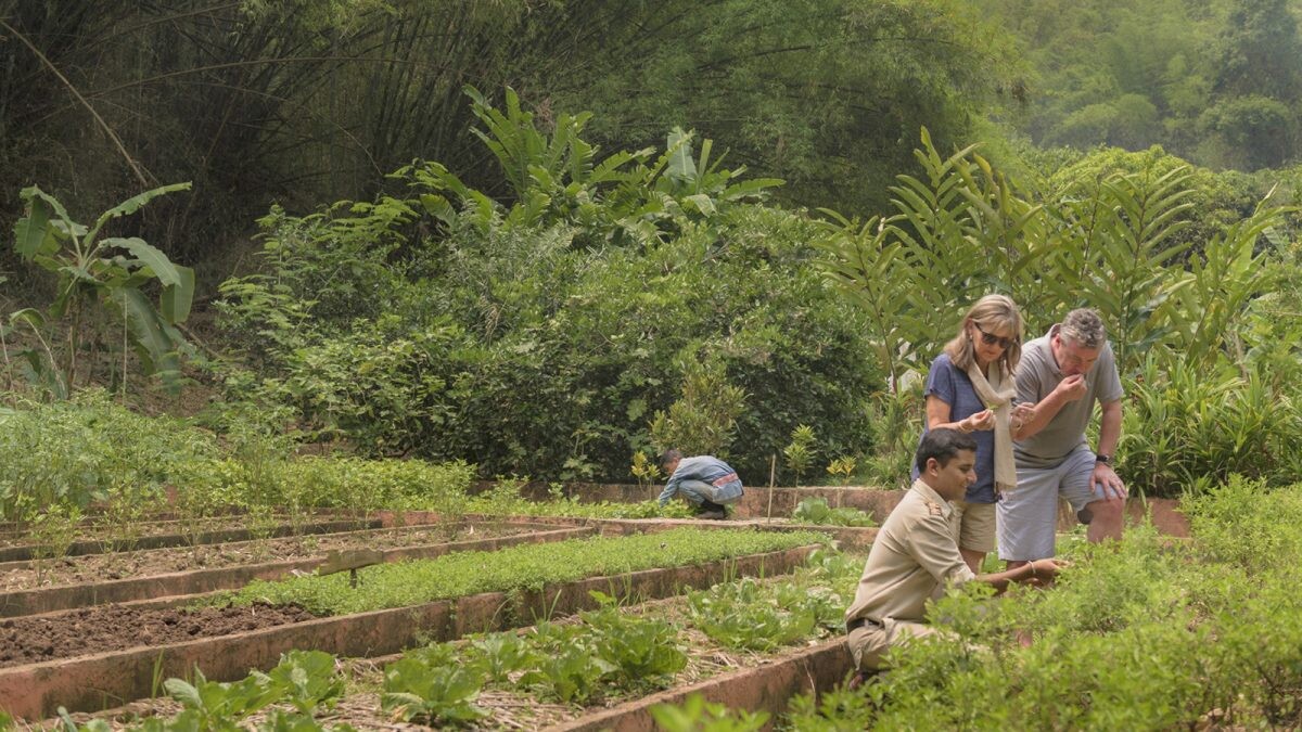 WELLNESS IN WILDERNESS AT THE GOLDEN TRIANGLE