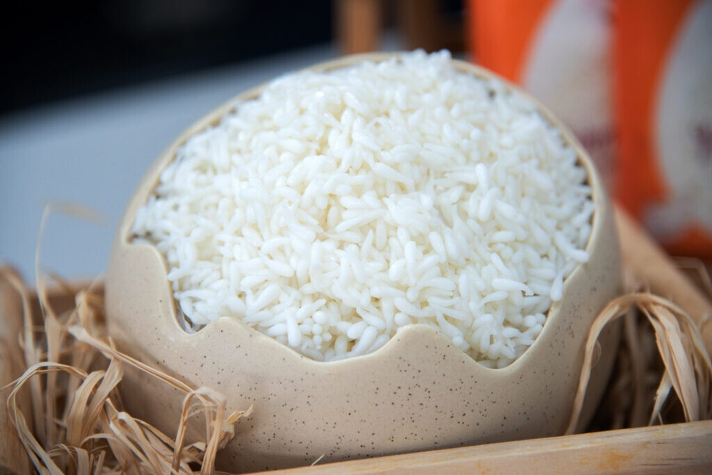 Egg-White Rice - an Innovative Alternative Food Rich in Nutrients that Appeals to the Health Conscious