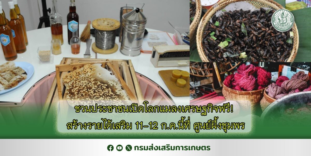 ชวนประชาชนเปิดโลกแมลงเศรษฐกิจฟรี! สร้างรายได้เสริม 11-12 ก.ค.นี้ที่ ศูนย์ผึ้งชุมพร