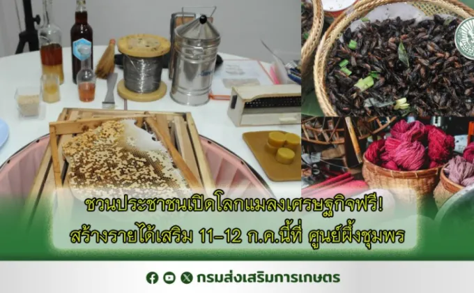 ชวนประชาชนเปิดโลกแมลงเศรษฐกิจฟรี!