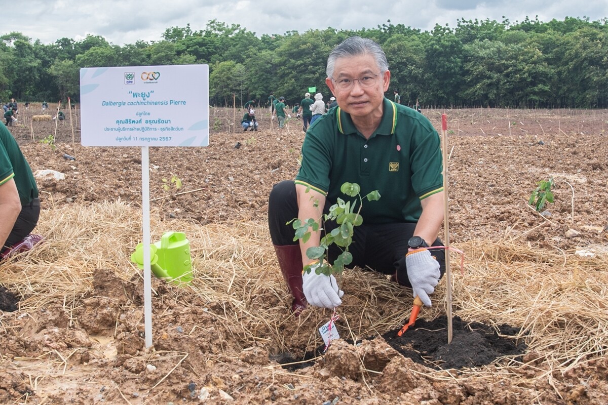 CPF ชูนวัตกรรมเกษตรสีเขียว พัฒนาฟาร์มไก่อัจฉริยะ รักษ์โลกยั่งยืน